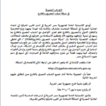 شبكة شباب المصريين بالخارج